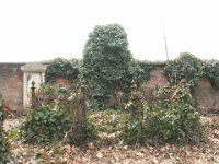 380 Schvachoffer - Pataky